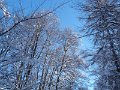 P1060409