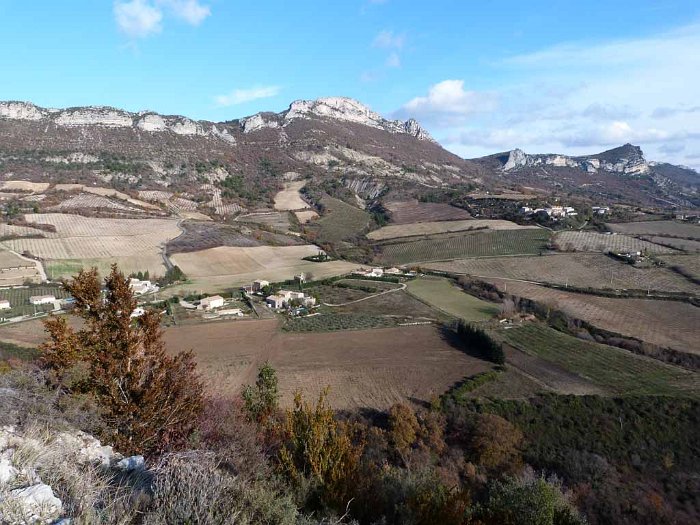 P1000250
