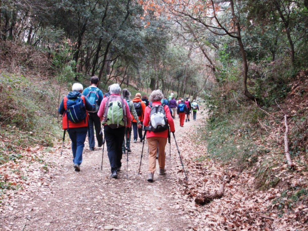 01/03/2026 : Les Escoulaires Image